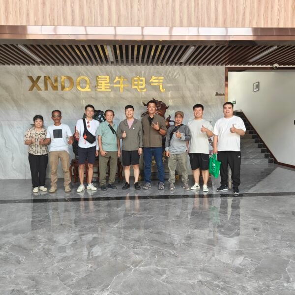 Customer delegation group photo at the XNET transformer factory