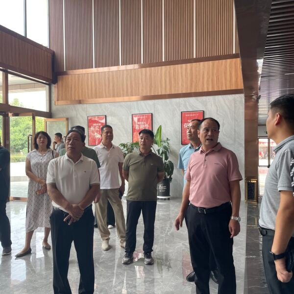 Customer delegation arriving for an XNET transformer factory visit