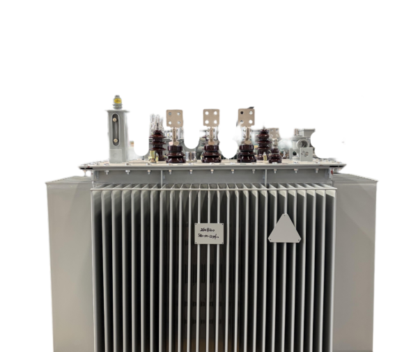 11kV oil-immersed transformer